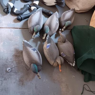 6 WEIGHTED DUCKS AND 8 GEESE HUNTING DECOYS