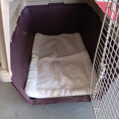 DOGLOO LARGE PET KENNEL, LARGE DOG BOOTS AND COMB