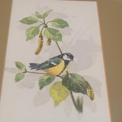 Water Color Bird Paintings (GB-EL)