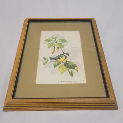 Water Color Bird Paintings (GB-EL)