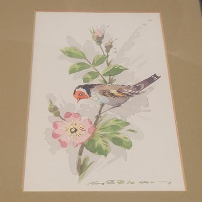 Water Color Bird Paintings (GB-EL)