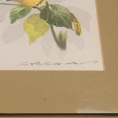 Water Color Bird Paintings (GB-EL)