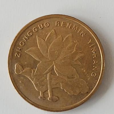 Remainder of Coins from around the world