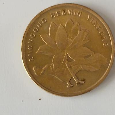 Remainder of Coins from around the world