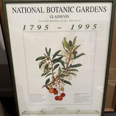 National Botanical Gardens framed poster