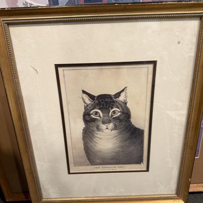 The Favorite Cat framed
