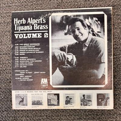 Vintage 33 RPM Album Lot