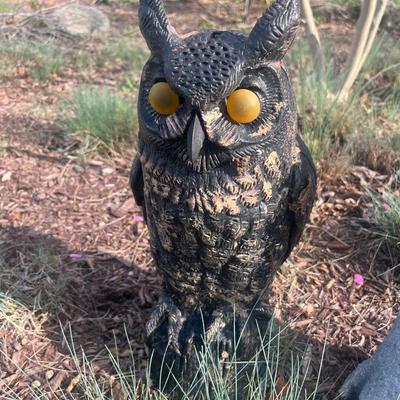 Yard Decor