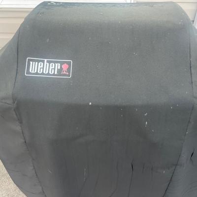 Weber Grill