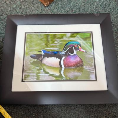 Vibrant Duck oil painting signed