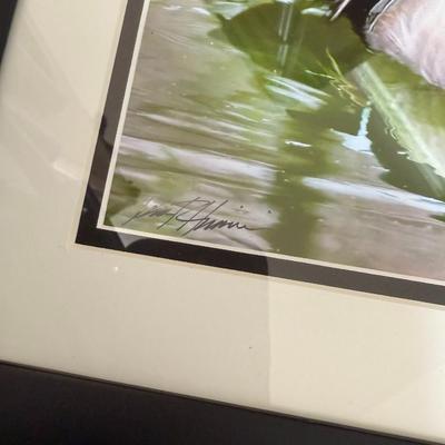 Vibrant Duck oil painting signed