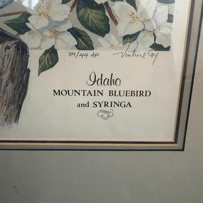 Idaho Mountain Bluebird painting signed