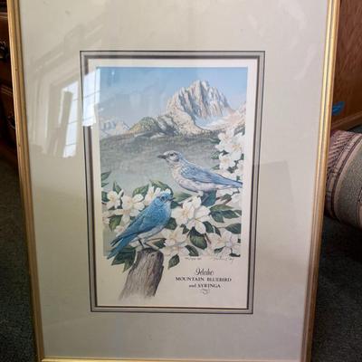Idaho Mountain Bluebird painting signed