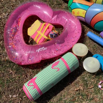 G8127 Lot of Large Pool Floats and Noodles