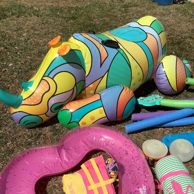 G8127 Lot of Large Pool Floats and Noodles