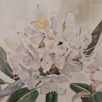 2 FLORAL ORIGINAL WATERCOLORS BY ELOISE POPE