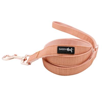 Sassy Woof 5' Dog Leash w/Sturdy D-Ring & 360 Degree Swivel Clasp in Apple Cider Orange & Rose Gold Hardware