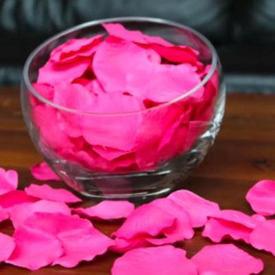 Hot Pink Silk Rose Petals, Value Pack 1000 Petals