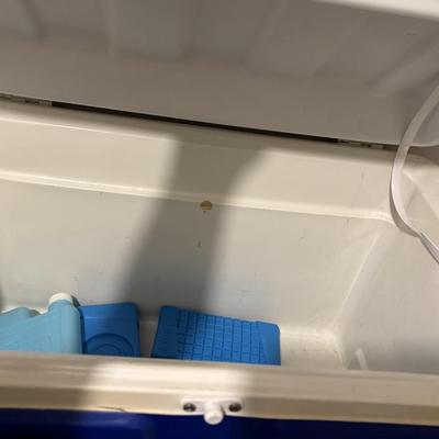 Igloo Cooler