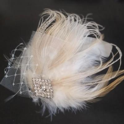 Vintage Feather & Rhinestone Hair Clip