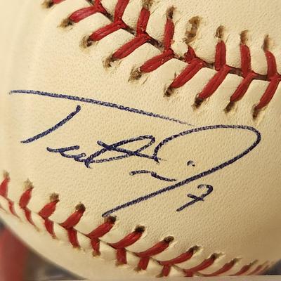 Trott Nixon Red sox OMLB Signed Autographed Baseball In Collectors Case