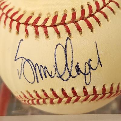 Graham Lloyd Expos OMLB Signed Autographed Baseball In Collectors Case