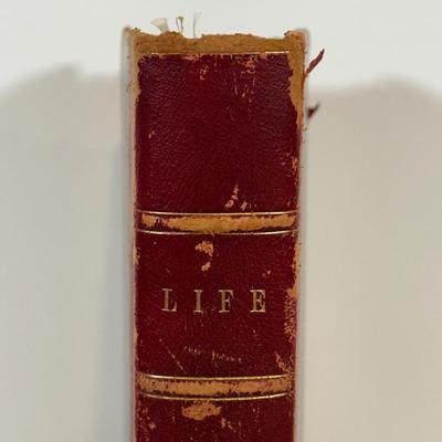 LOT 49: Antique Bound Volume Of Life Magazine Vol. 30 1897