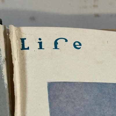 LOT 52: Antique Bound Volume Of Life Magazine LXIX 1917
