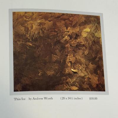 LOT 78: Vintage The Brandywine River Museum & Delaware Art Museum Posters & More