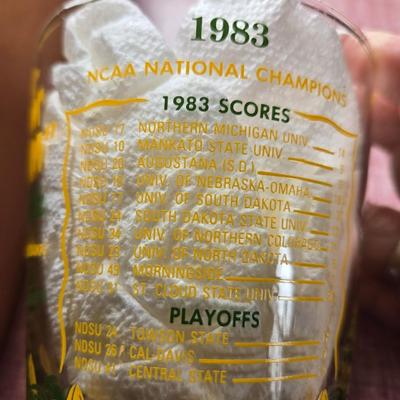 NDSU Bison Glasses Set of 8