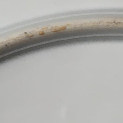 LS&S Austrian Antique Limoges Charger