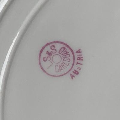 LS&S Austrian Antique Limoges Charger