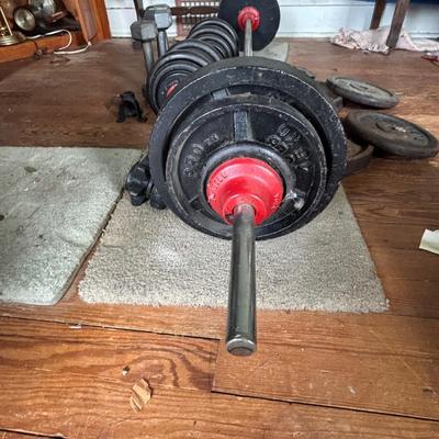 LOT 434: Barbell & Dumbbells along with Extra Weights: 200lbs of Plates plus Bars