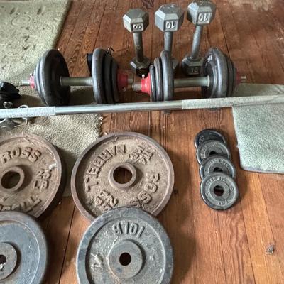 LOT 434: Barbell & Dumbbells along with Extra Weights: 200lbs of Plates plus Bars