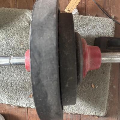 LOT 434: Barbell & Dumbbells along with Extra Weights: 200lbs of Plates plus Bars