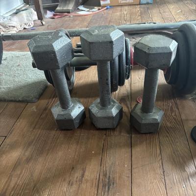 LOT 434: Barbell & Dumbbells along with Extra Weights: 200lbs of Plates plus Bars