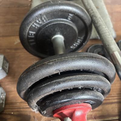 LOT 434: Barbell & Dumbbells along with Extra Weights: 200lbs of Plates plus Bars