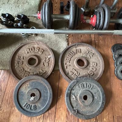LOT 434: Barbell & Dumbbells along with Extra Weights: 200lbs of Plates plus Bars