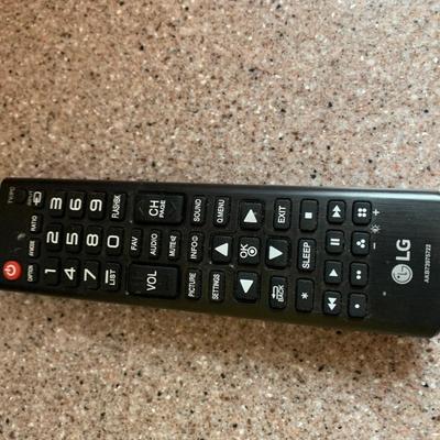 Countertop / Desk Top Flat Screen LG Television
