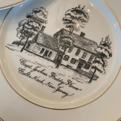 FIVE Collectors Plates