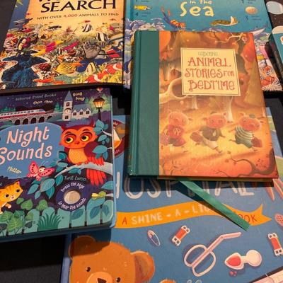 3 new puzzles and tote of kids books