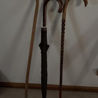 Cane and Umbrella Lot