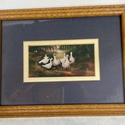 Pair of Small Framed and Matted Prints Farm Animals Pigs Ducks