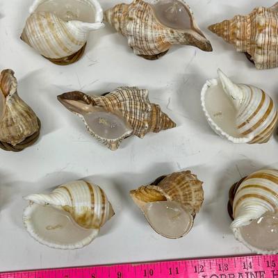 Shell Candles, home made Decorative Sea Shells