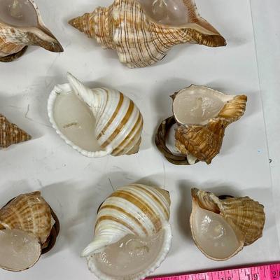 Shell Candles, home made Decorative Sea Shells