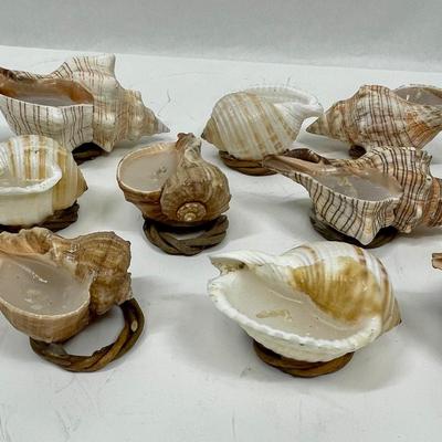 Shell Candles, home made Decorative Sea Shells