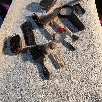 Brush and magnifying set