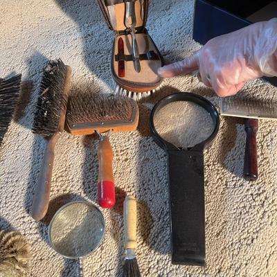 Brush and magnifying set