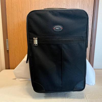 Suitcase 22in