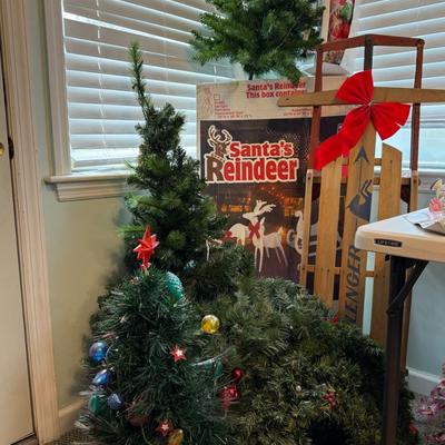 Christmas Trees and Sleigh Lot